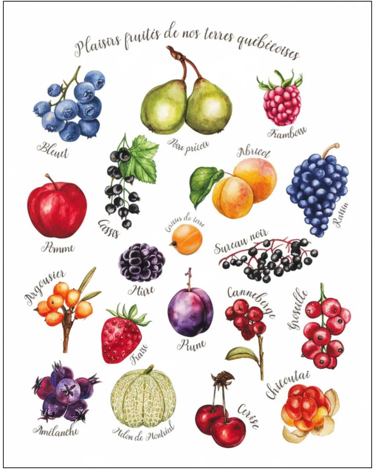 Affiches