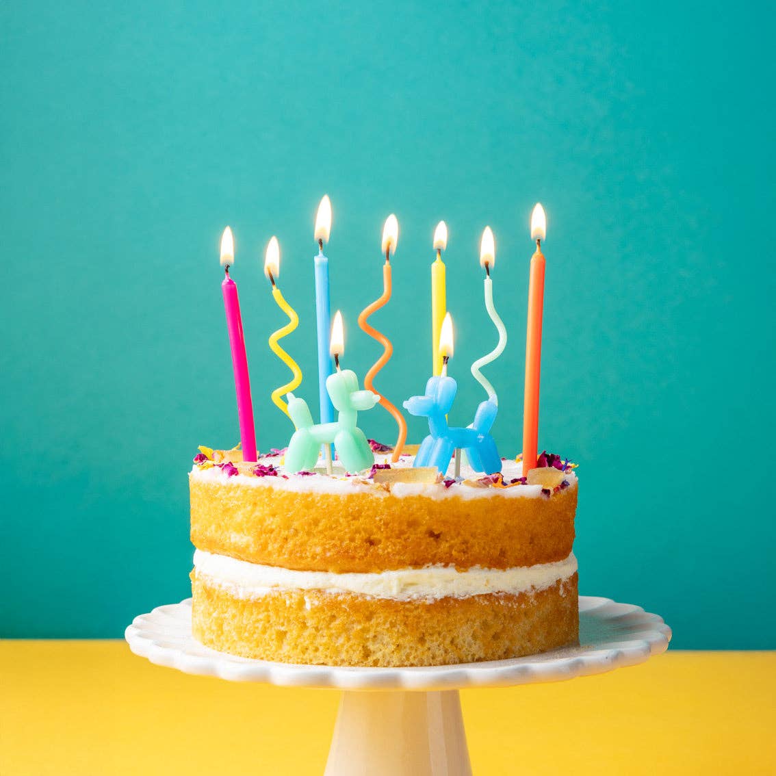 Bougies d'anniversaire chien en ballon - lot de 9 | Bougies pour gâteau |