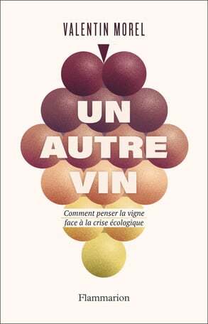 Un autre vin - Valentin Morel