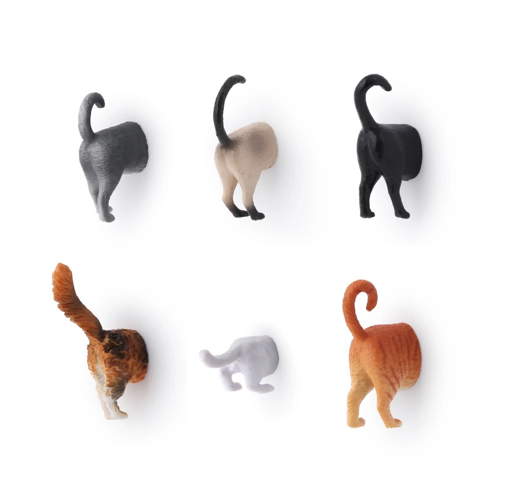 Aimant - Fesses de chats
