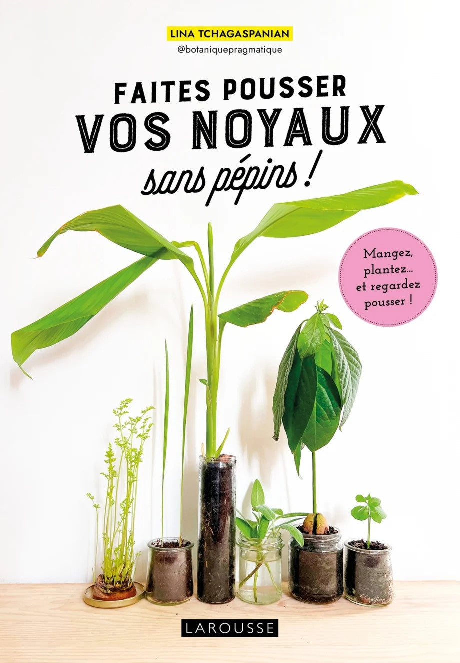Faites pousser vos noyaux sans pépins! - Lina Tchagaspanian