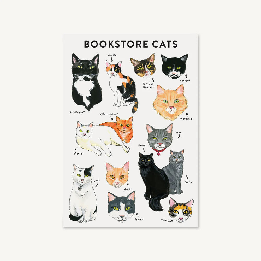 Journal flexible "Bookstore Cats"