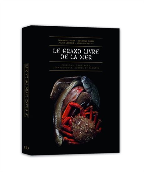 The Great Book of the Sea - Collective