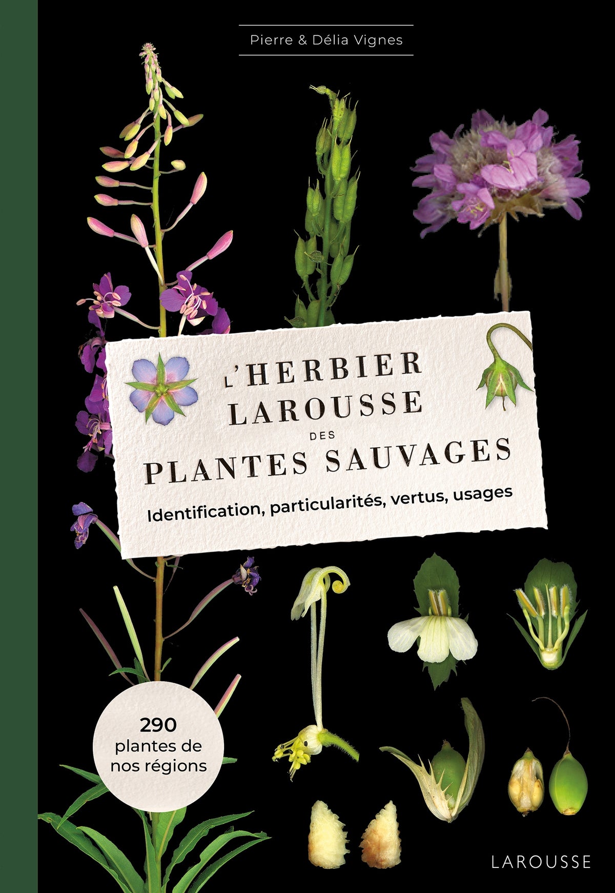 The Herbarium of Wild Plants - Pierre VIGNES, Délia VIGNES