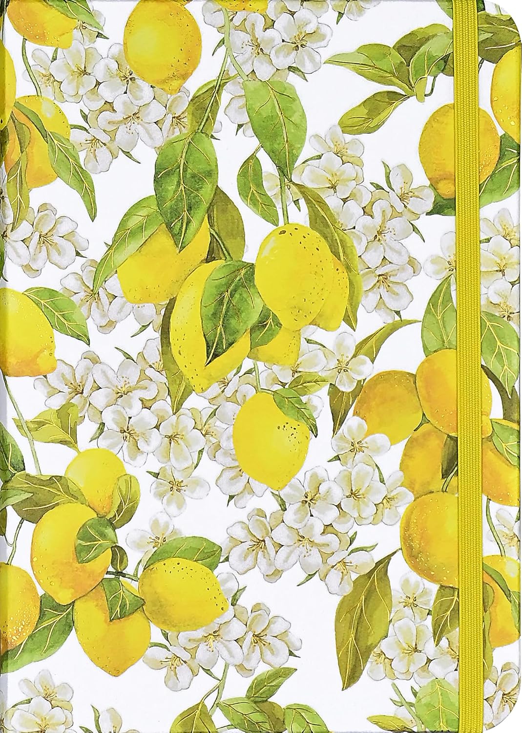 Cahier de notes (petit) 160 pages "Amalfi Lemons" - Peter Pauper Press