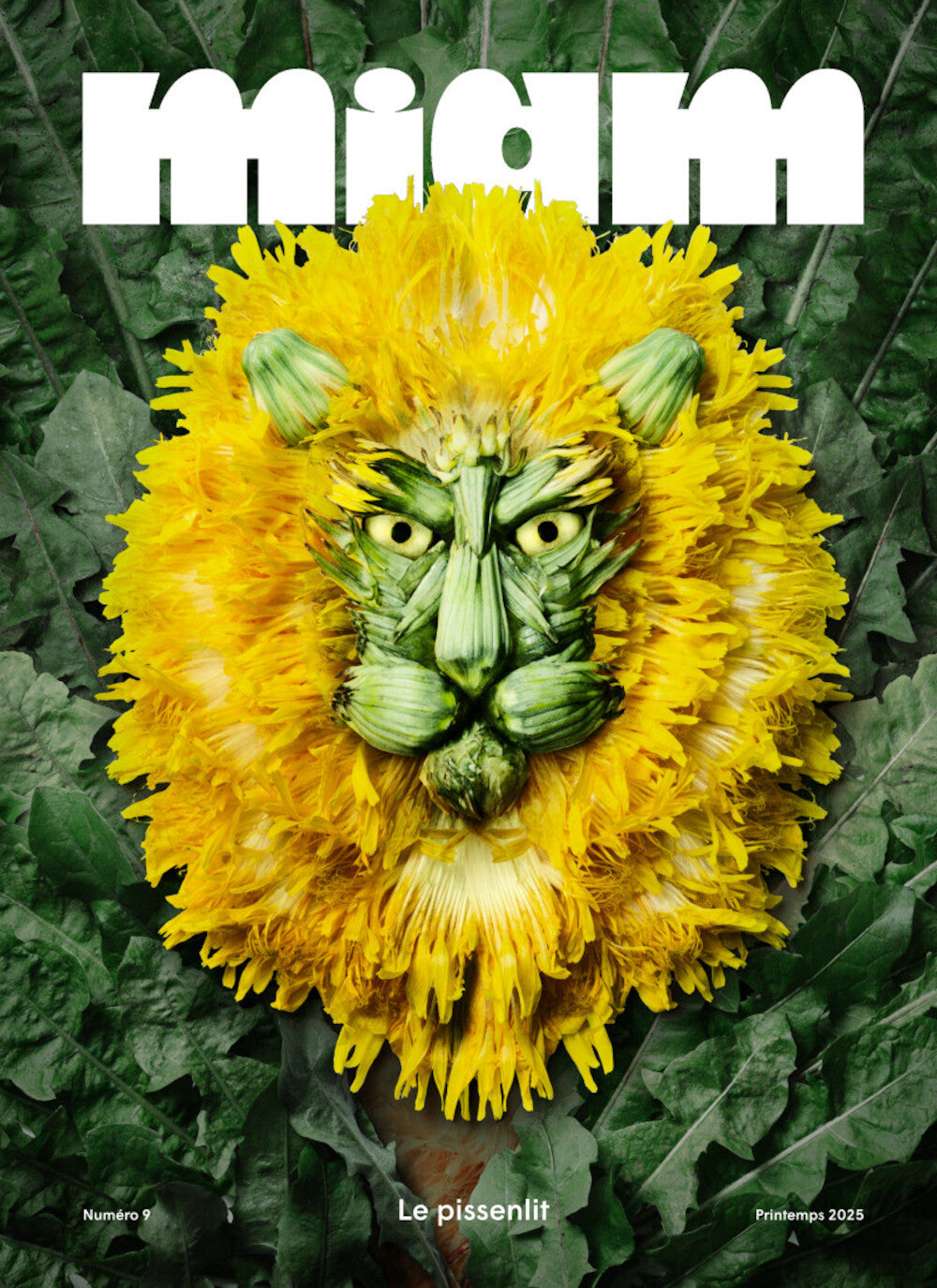 Yum #9 - The Dandelion - Spring 2025
