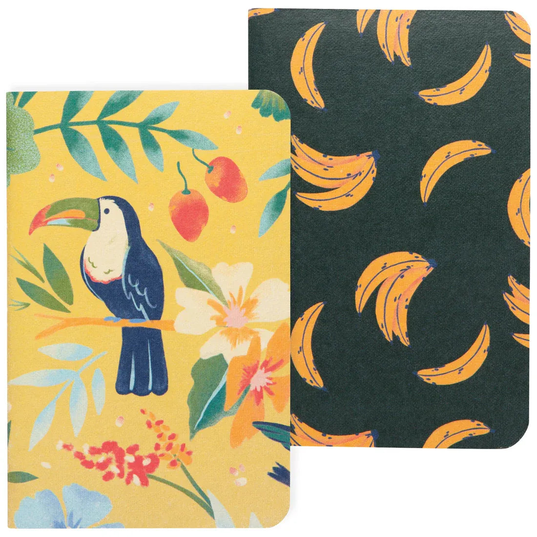 Carnets (x2) Tropical - Danica