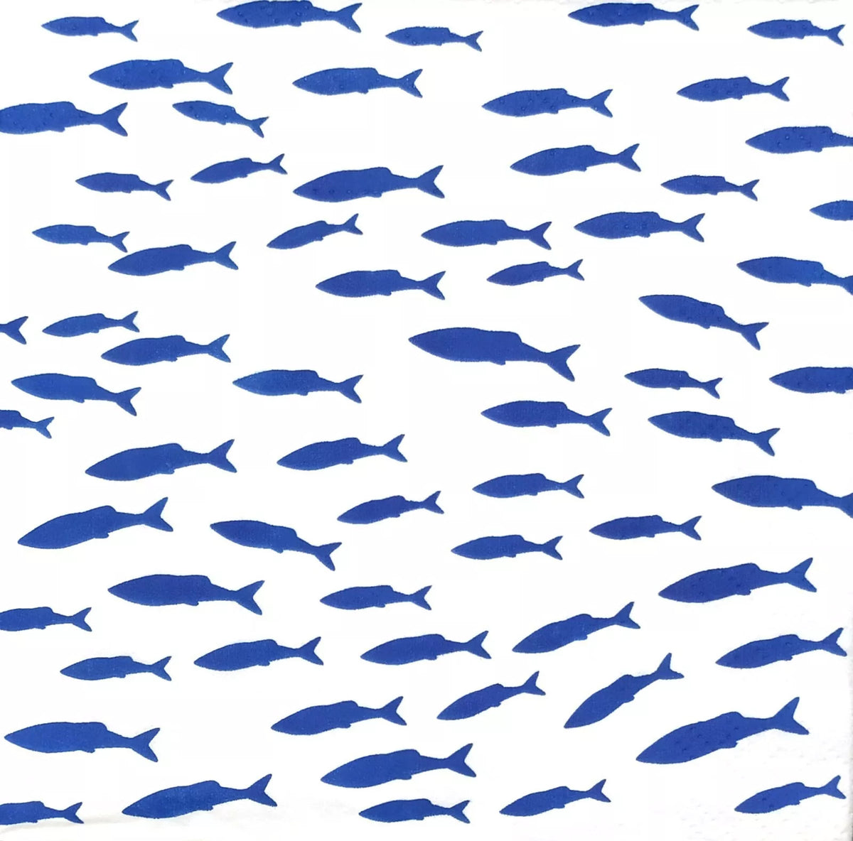 Napkins carrées 30 x 30 cm - Poissons - PAW