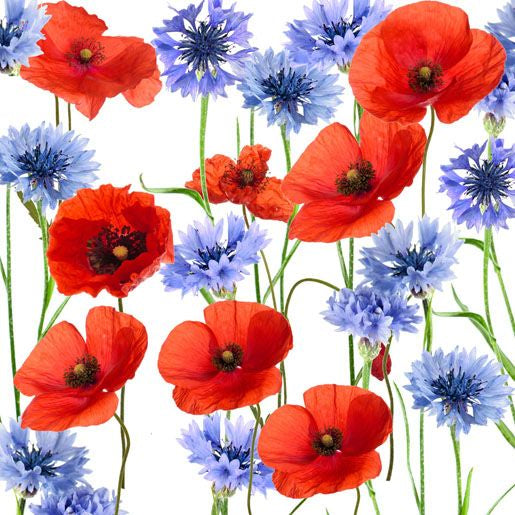 Napkins champ de fleurs d'été 24x24 cm - Paper+ Design