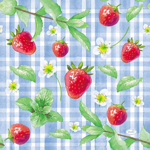Napkins carrées 30 x 30 cm - pique-nique aux fraises - DUNI