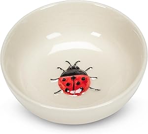 Small ladybug bowl in the center - Abbott