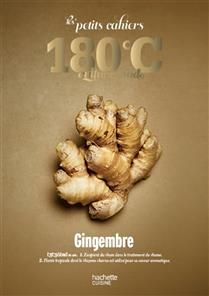 The Little Notebooks 180C: Ginger - Collective