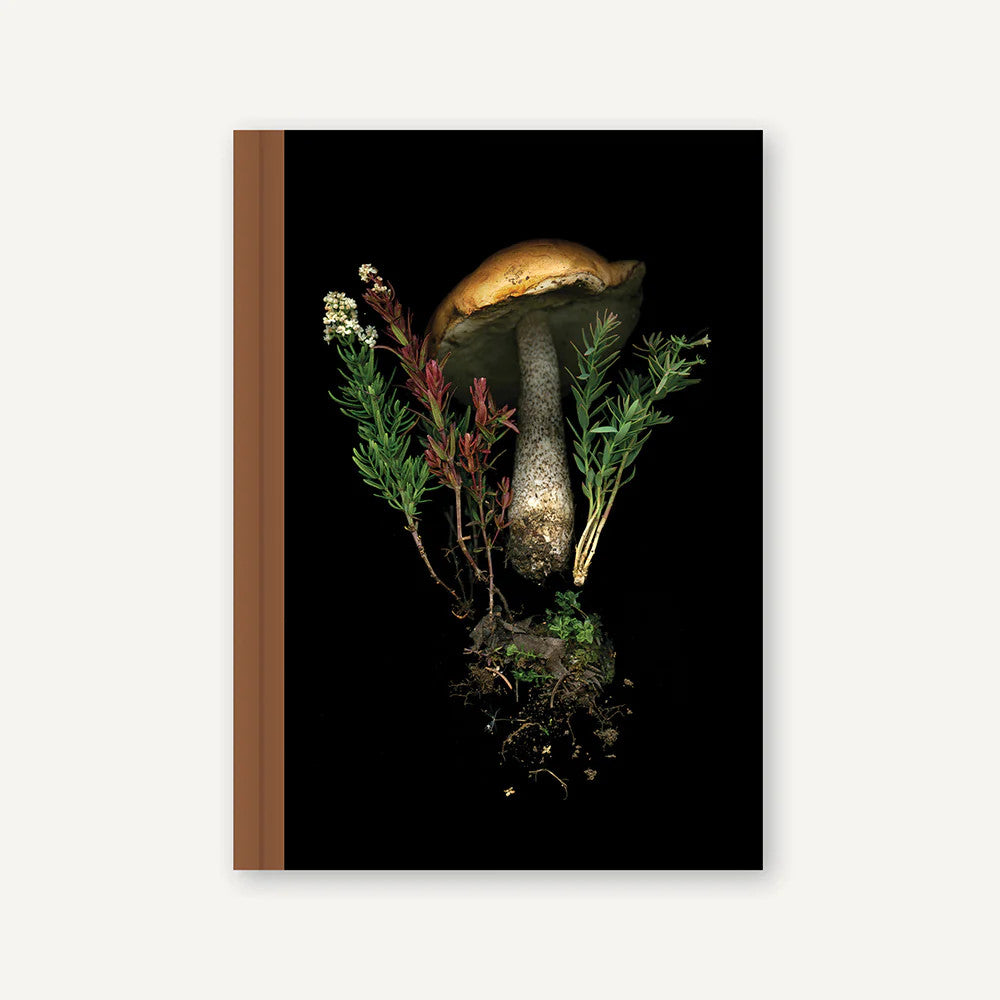 Cahier de note - Chronicle books - Deep Forest Mushrooms