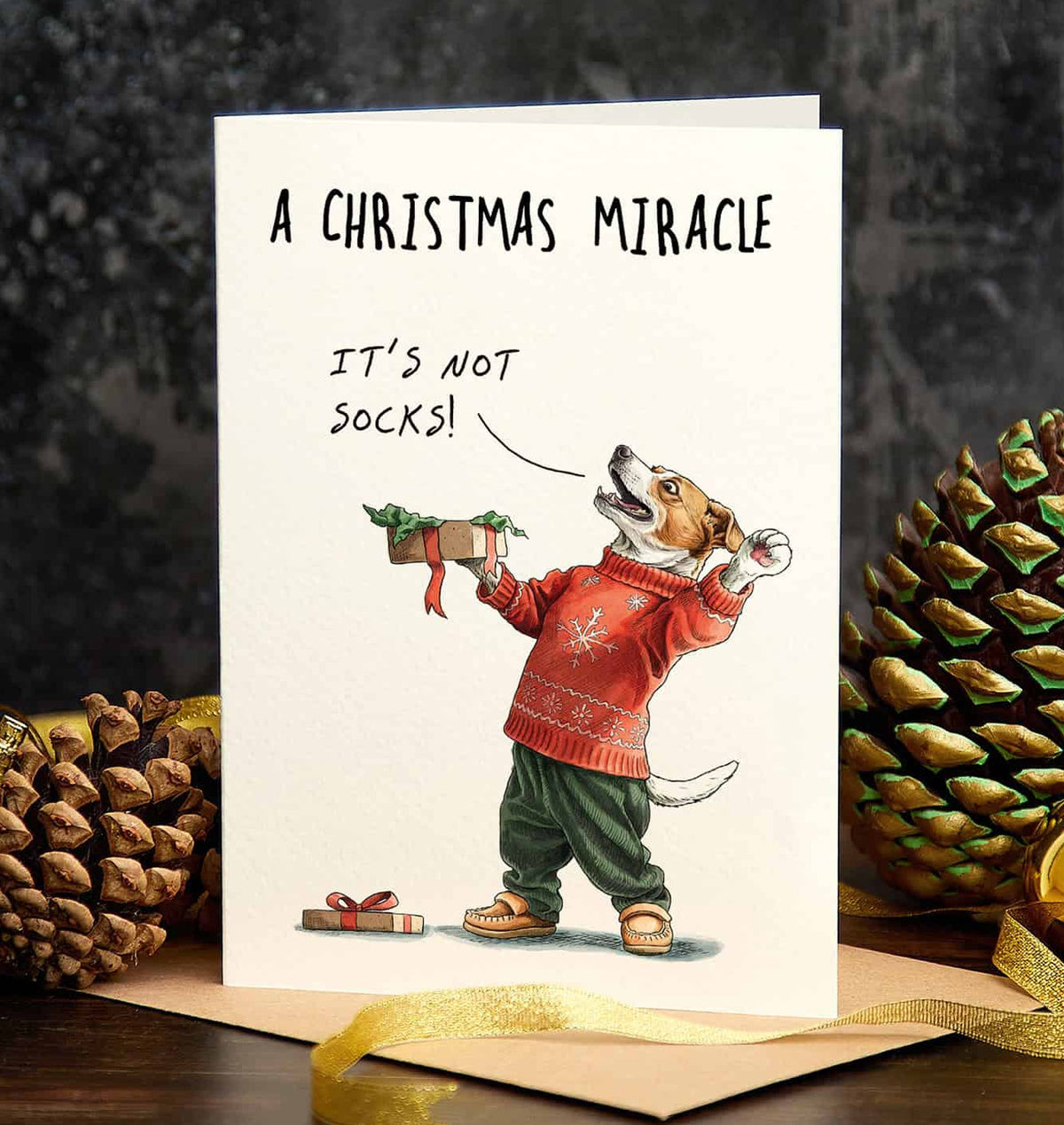 Carte de souhaits - Miracle Socks