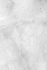 Barbe à papa saveur mystère