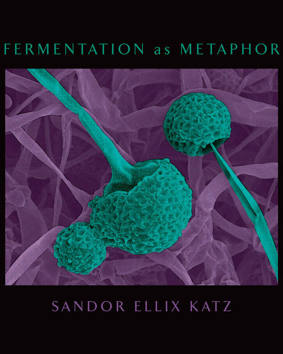 Fermentation as Metaphor - Sandor Ellix Katz