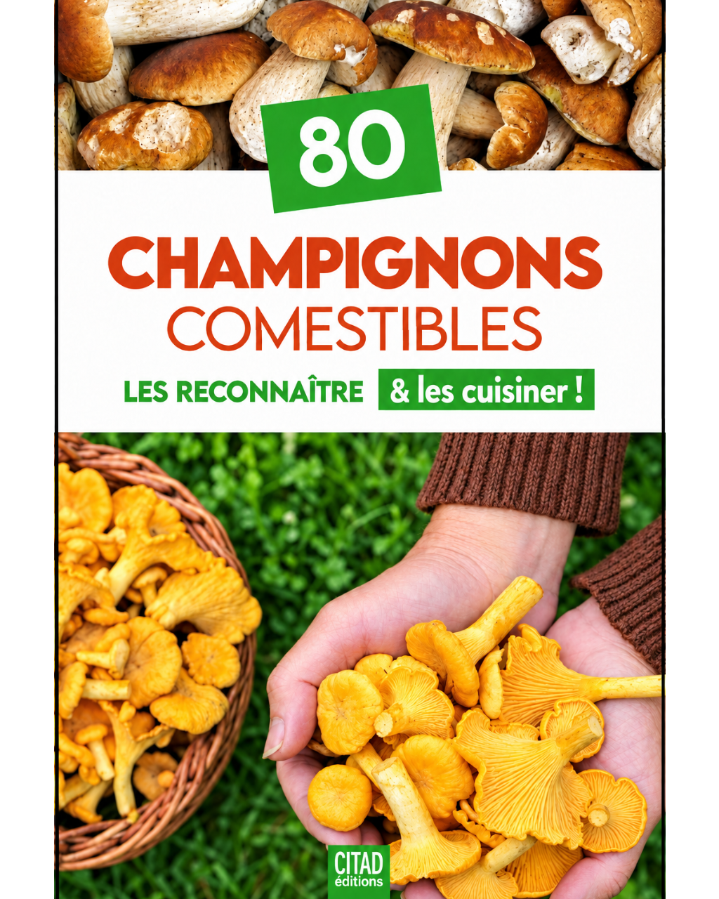 80 champignons comestibles : les reconnaître & les cuisiner ! - Collectif