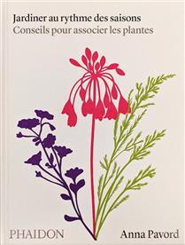 Jardiner au rythme des saisons : conseils pour associer les plantes