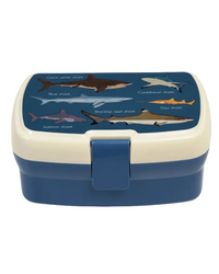 Lunch box - shark pattern