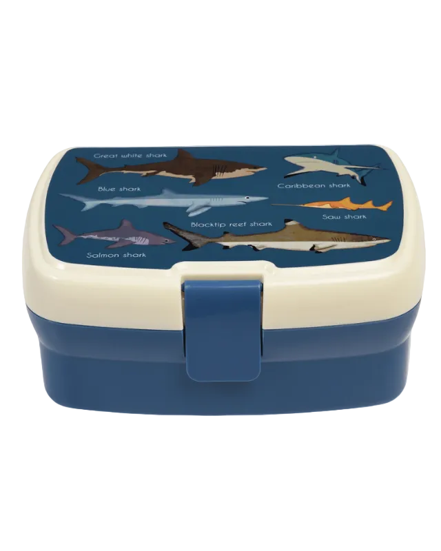 Lunch box - shark pattern