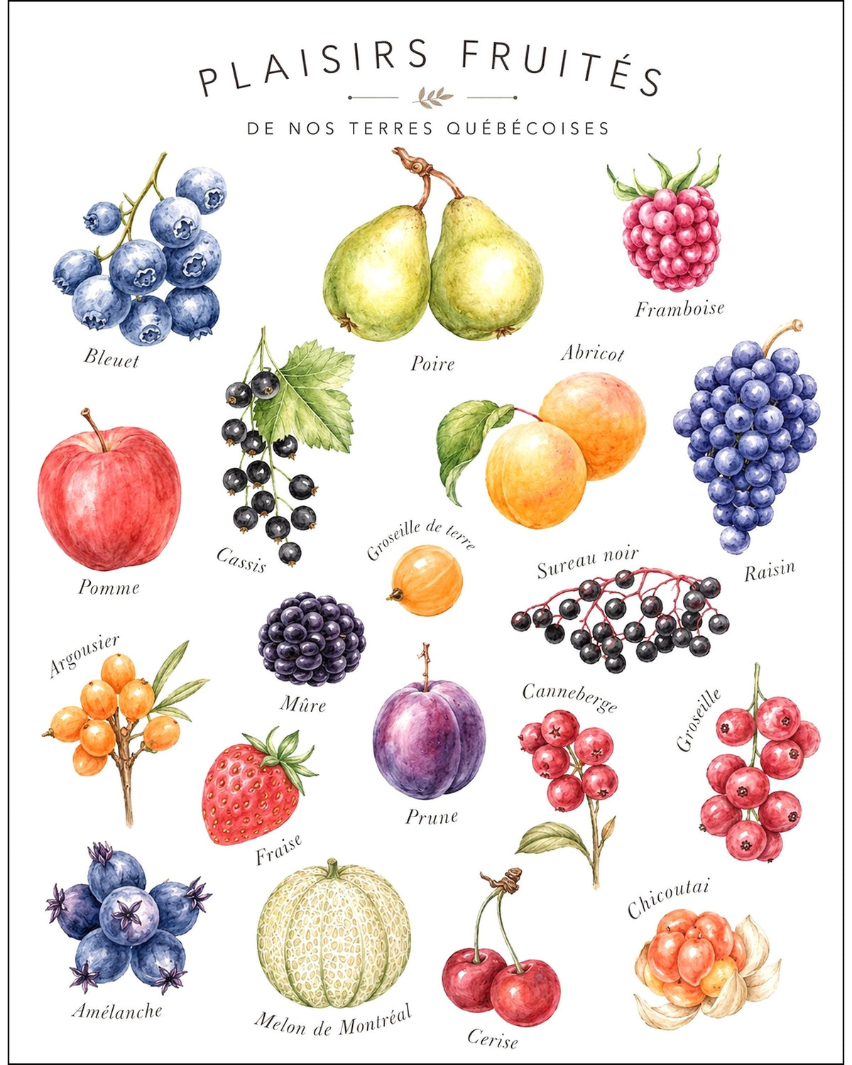 Affiche LG ''Plaisirs fruités de nos terres québécoises'' - 11x14 pouces