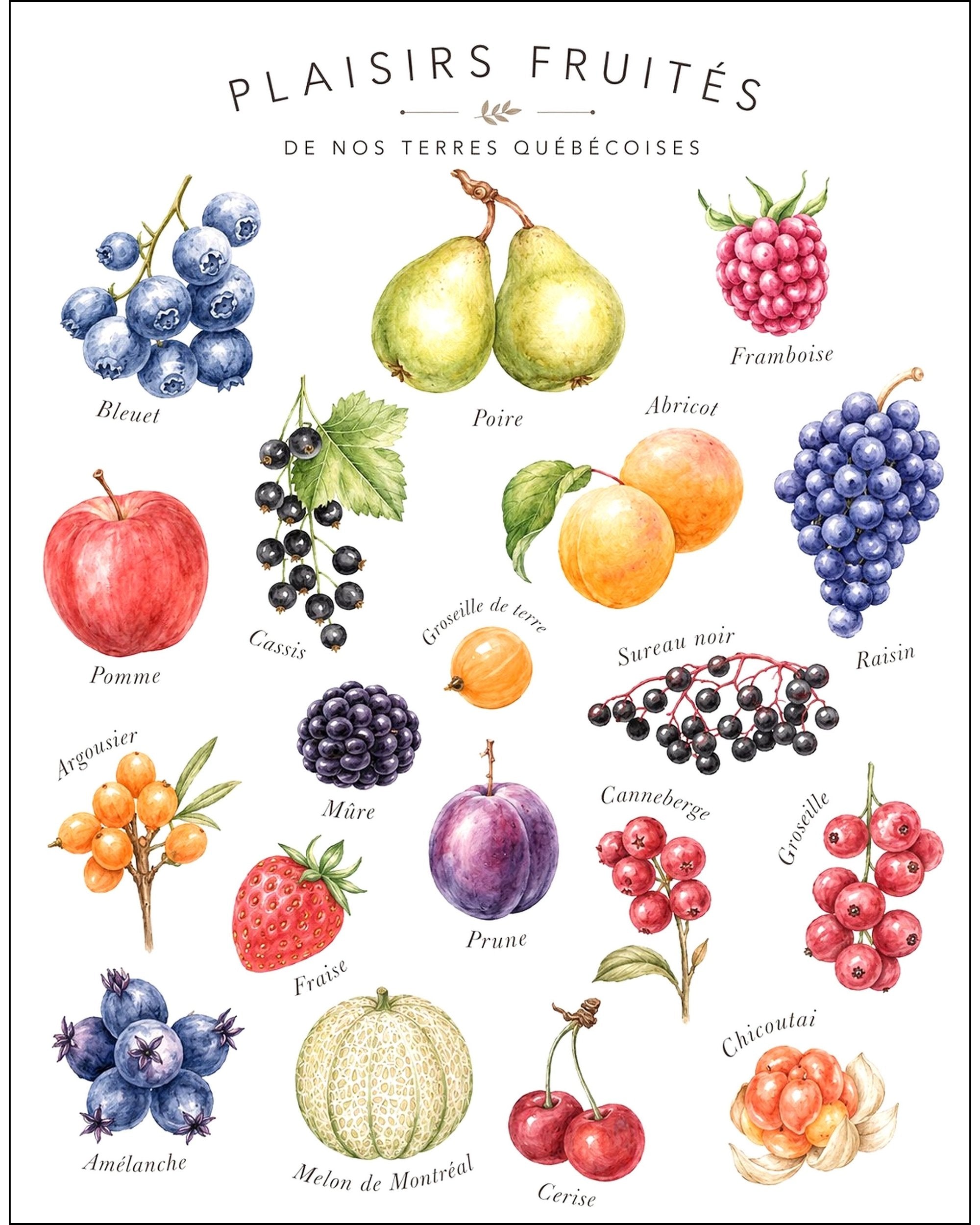 Affiche LG ''Plaisirs fruités de nos terres québécoises'' - 11x14 pouces