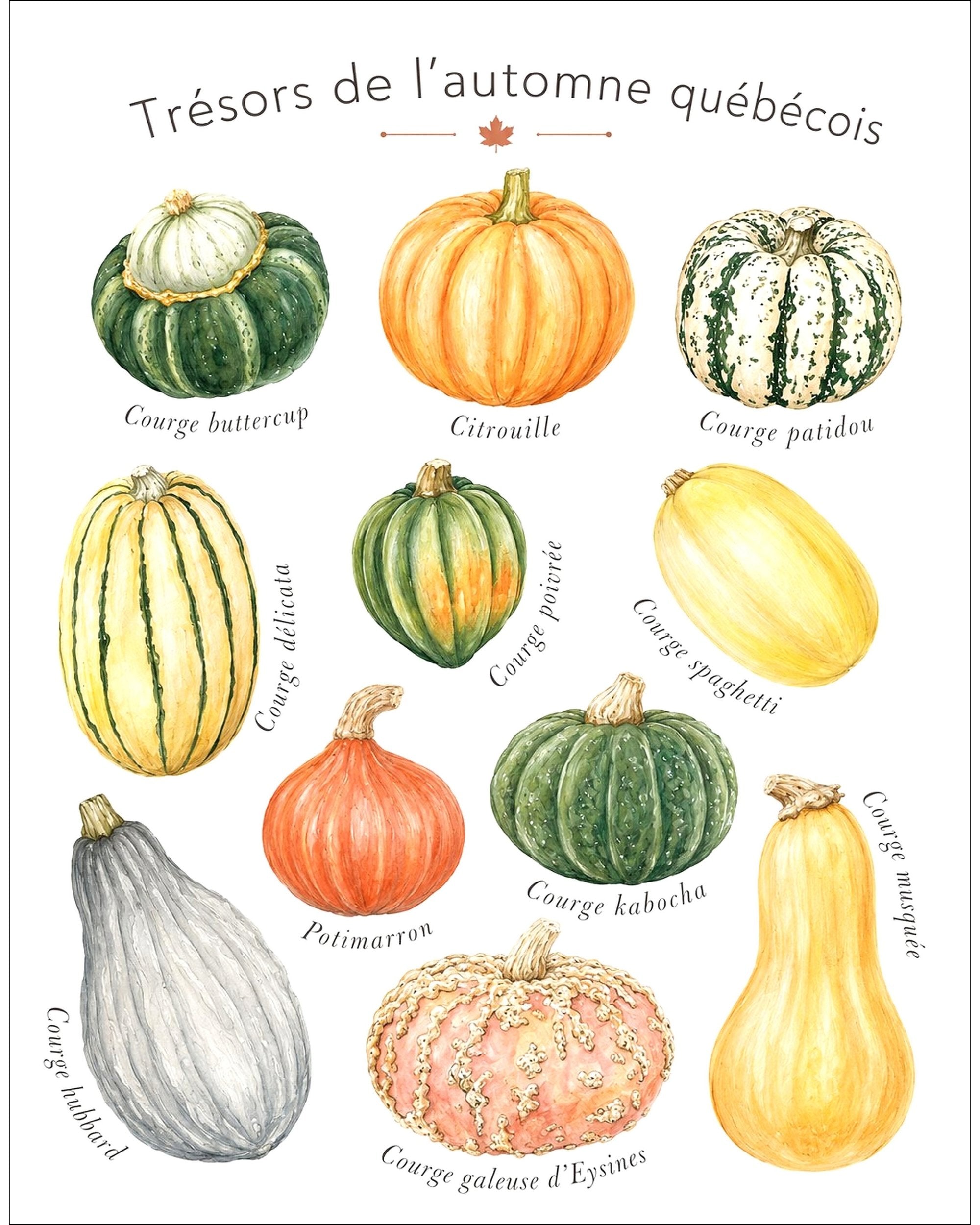 Affiche LG ''Trésors de l'automne québécois'' - 11x14 pouces