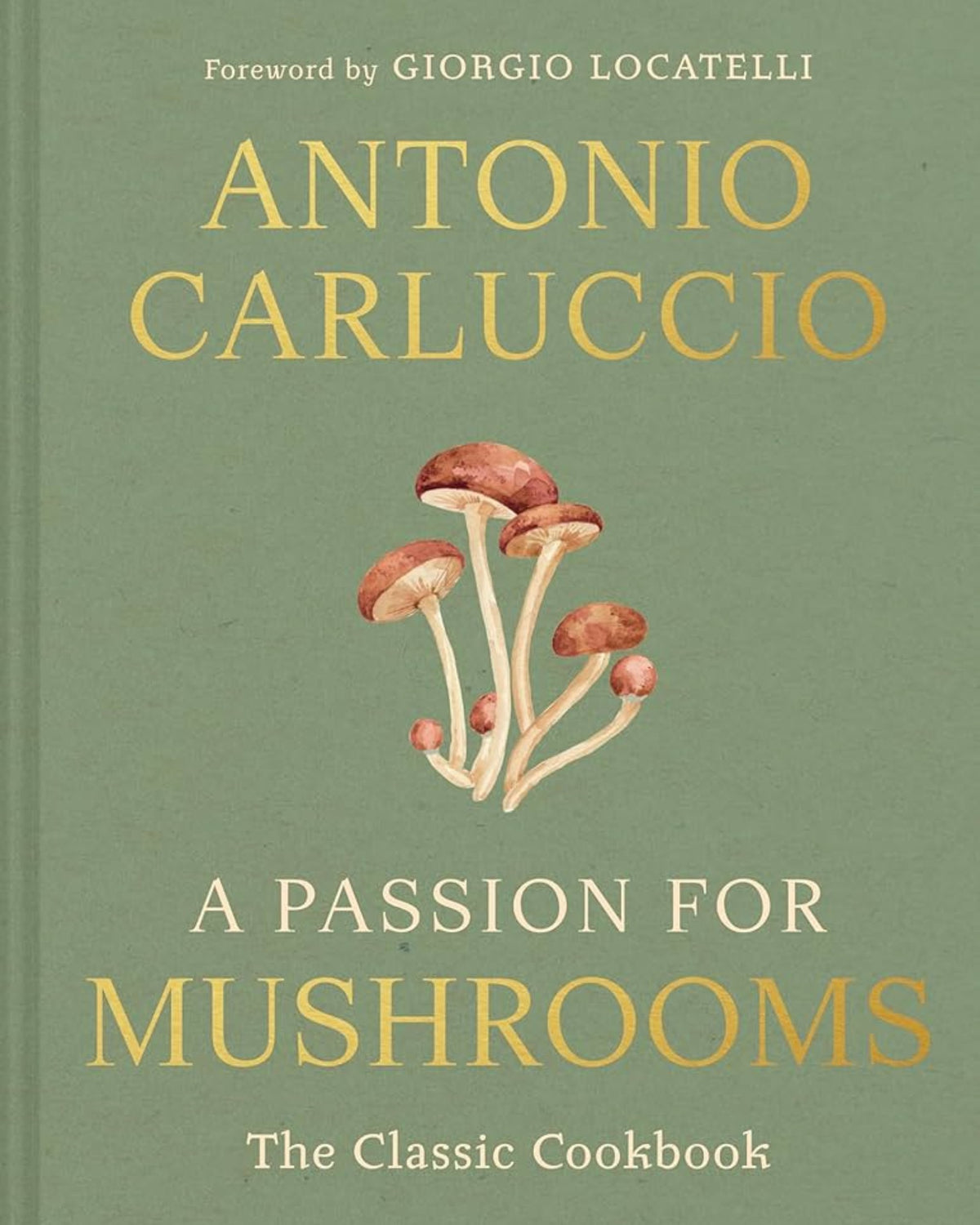 A Passion for Mushrooms - Antonio Carluccio - À PARAÎTRE FÉVRIER 2026