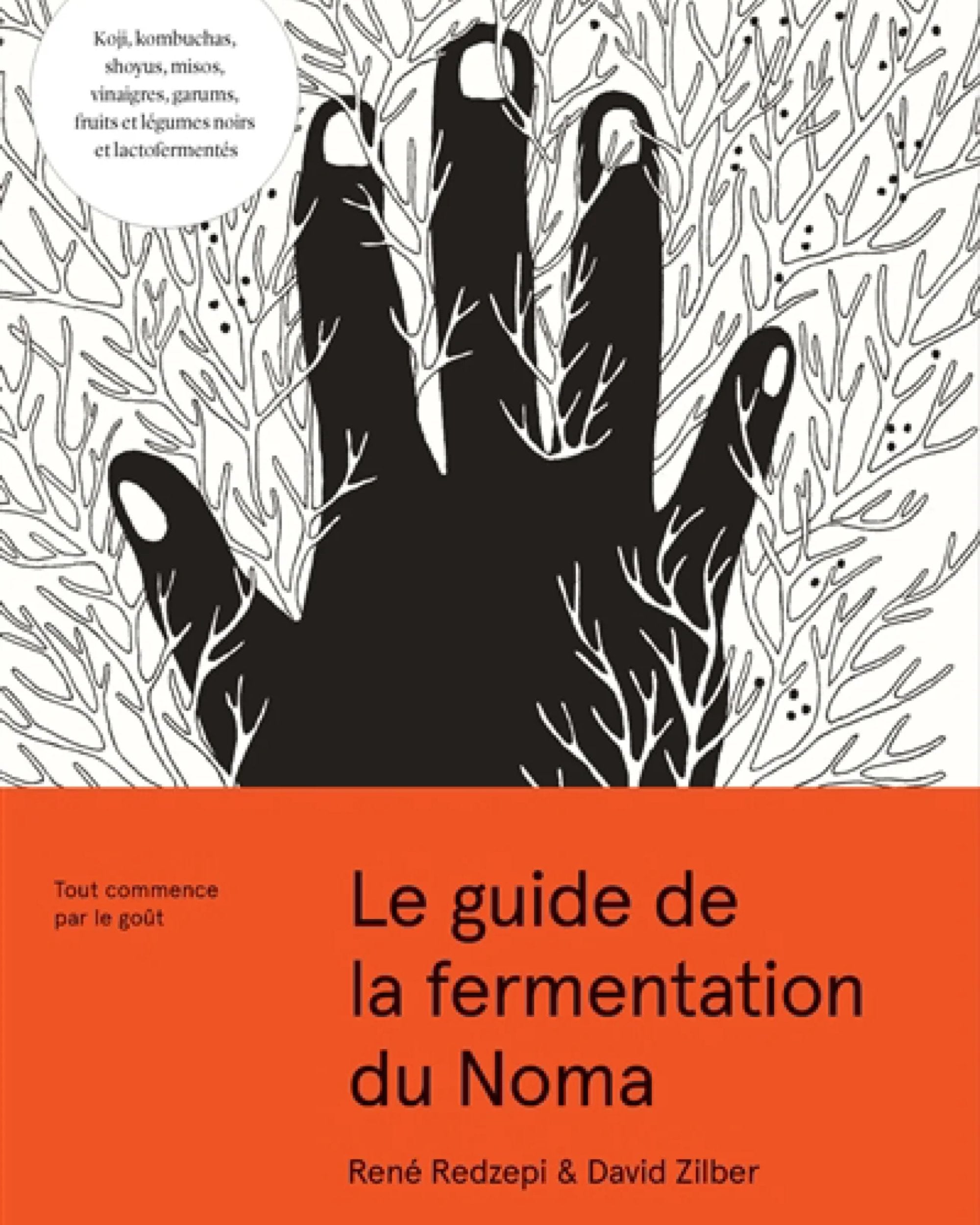The guide to Noma fermentation - René Redzepi