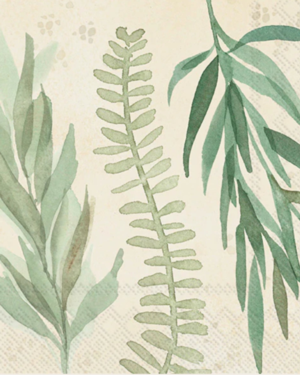 Serviettes de table 3 plis -Leaf and stem leaves cream
