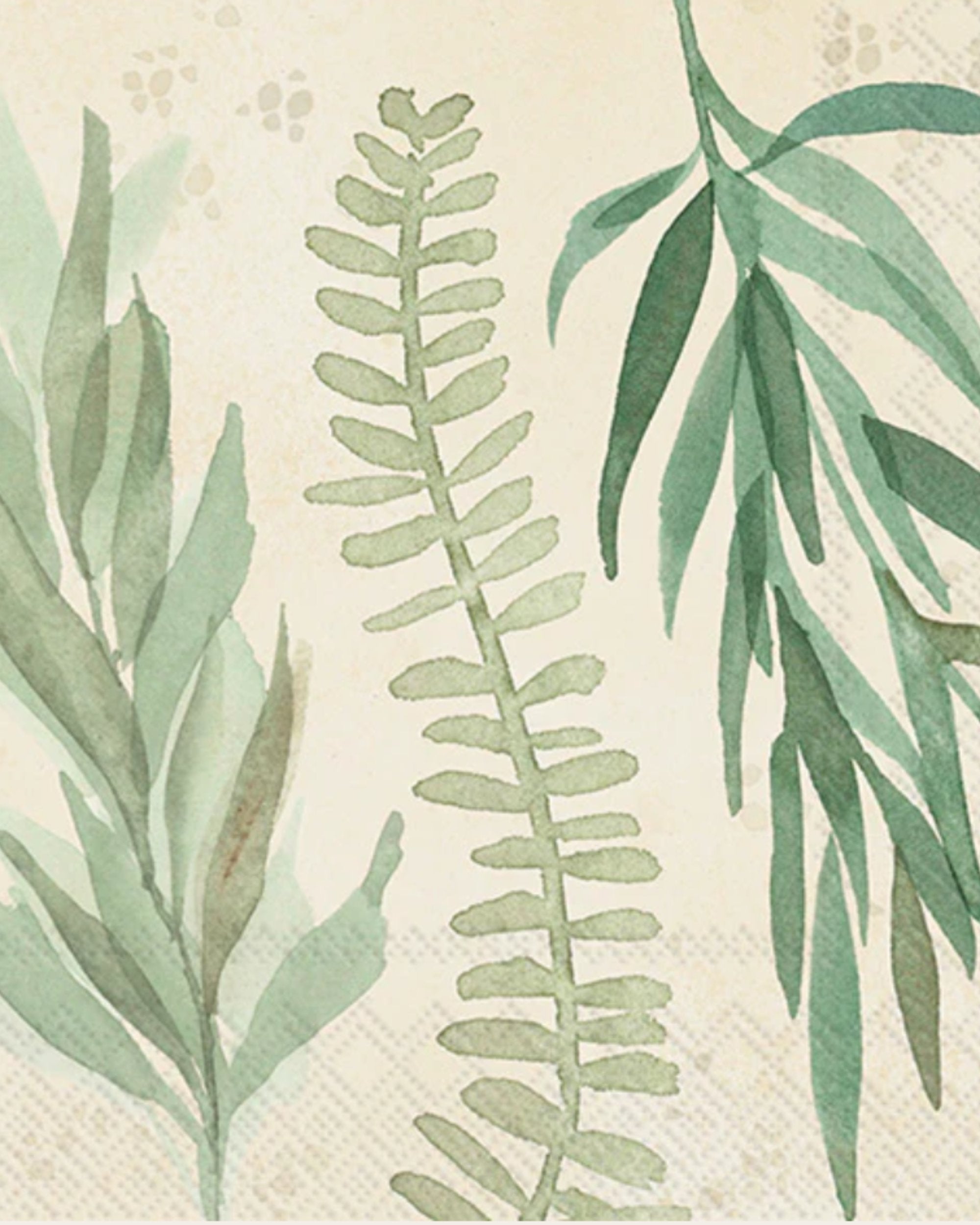 Serviettes de table 3 plis -Leaf and stem leaves cream