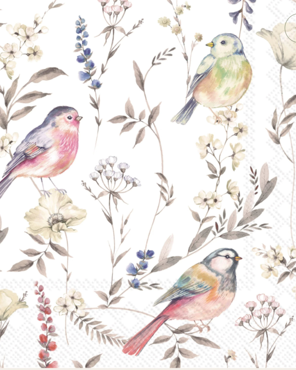 Serviettes de table 3 plis - Softly faded birds