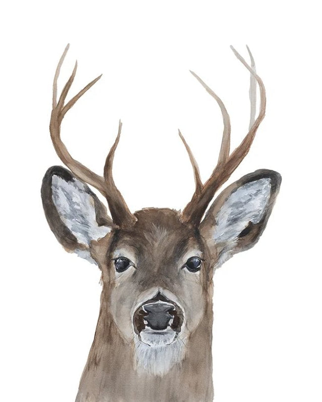 Linge à vaisselle - Maison Lorrain - Faune (cerf)
