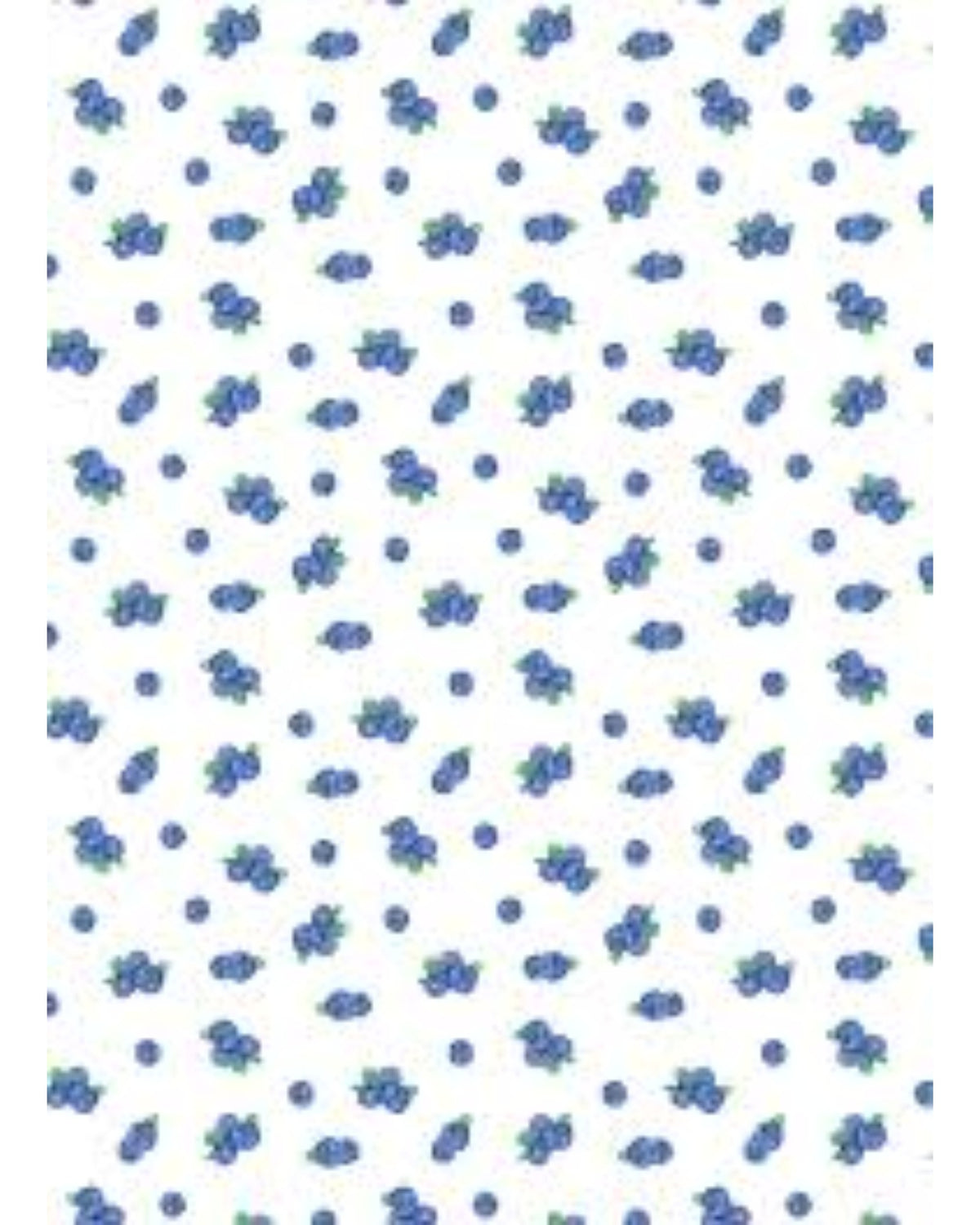 Linge à vaisselle - Maison Lorrain - Bleuets