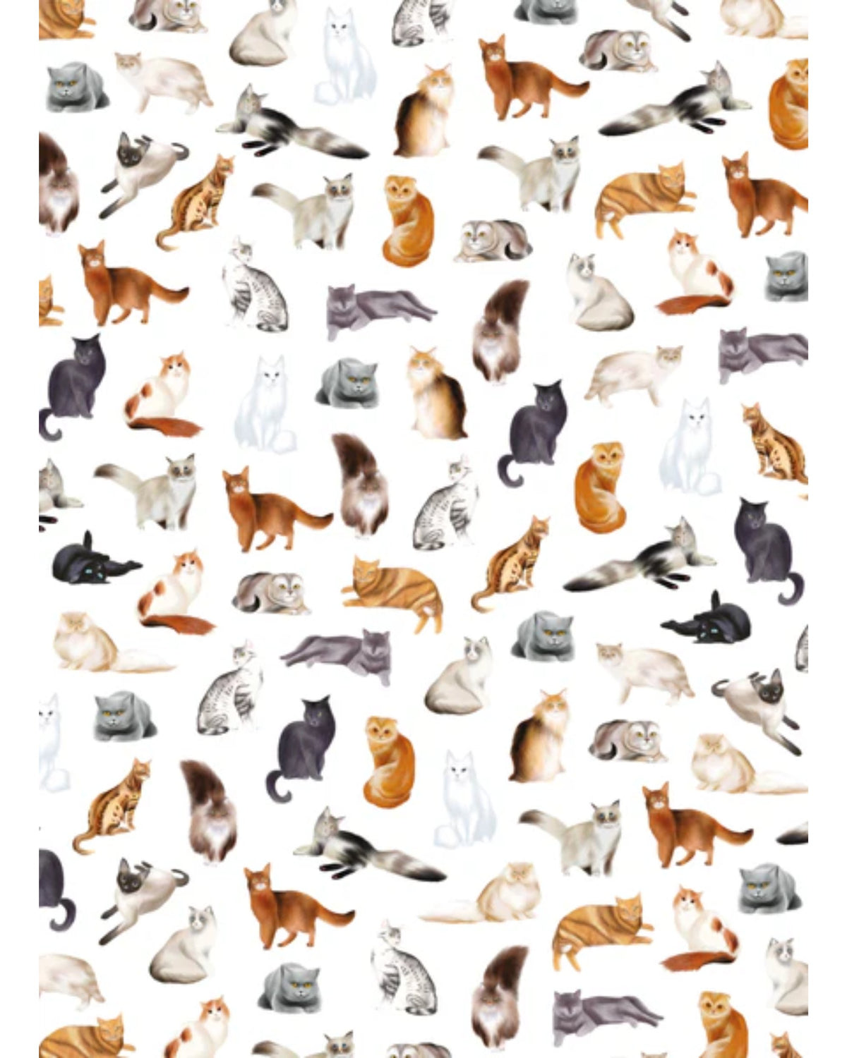 Linge à vaisselle - Maison Lorrain - Chats