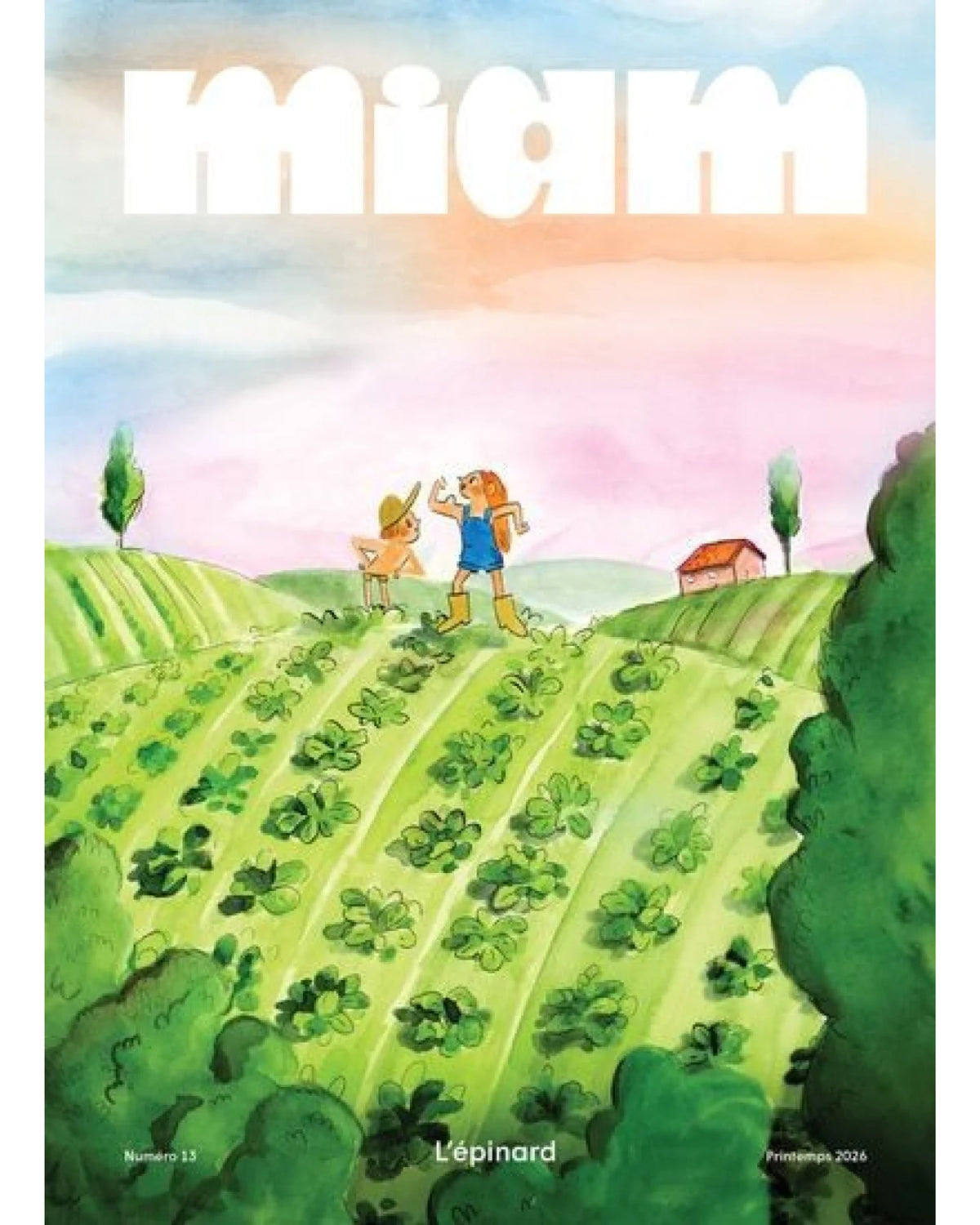 Miam, no. 13 : L'épinard