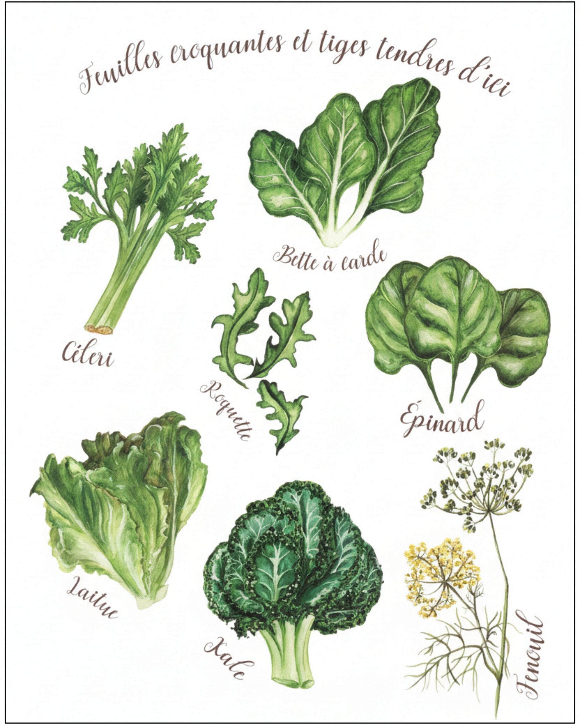 Affiche ''Feuilles croquantes et tiges tendres d'ici'' LG