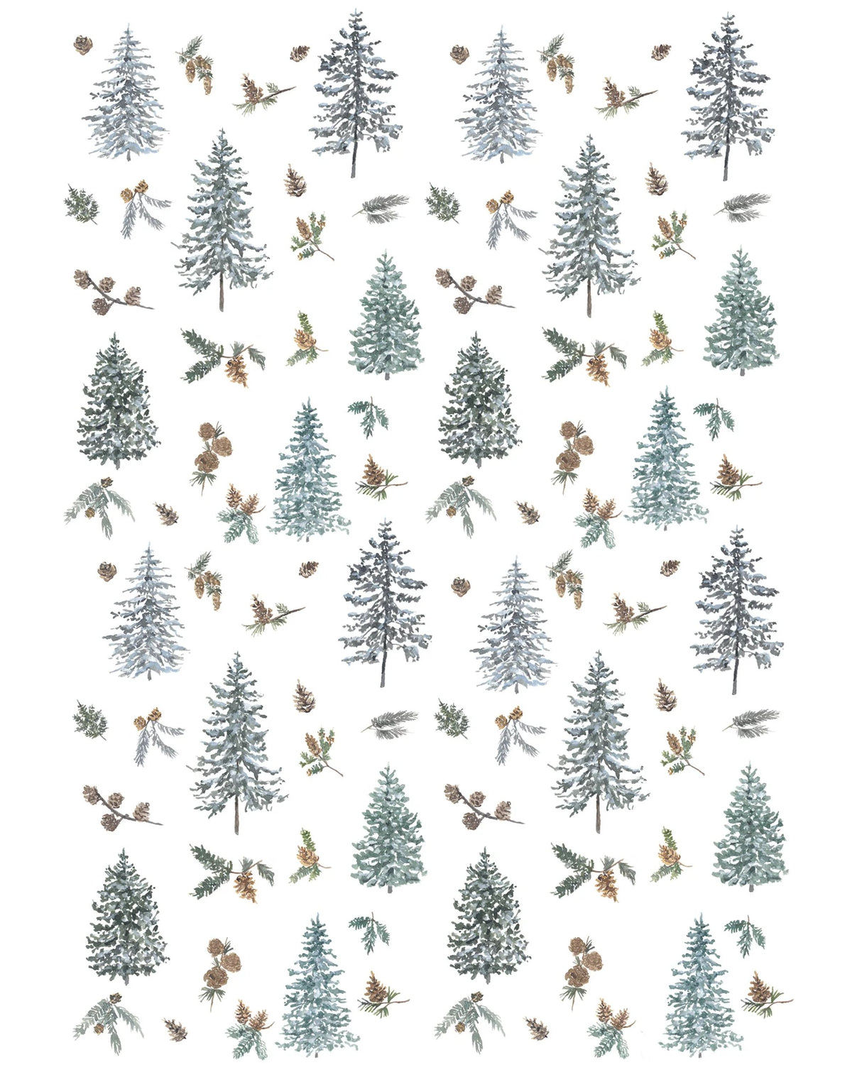 Linge à vaisselle - Maison Lorrain - Sapin baumier