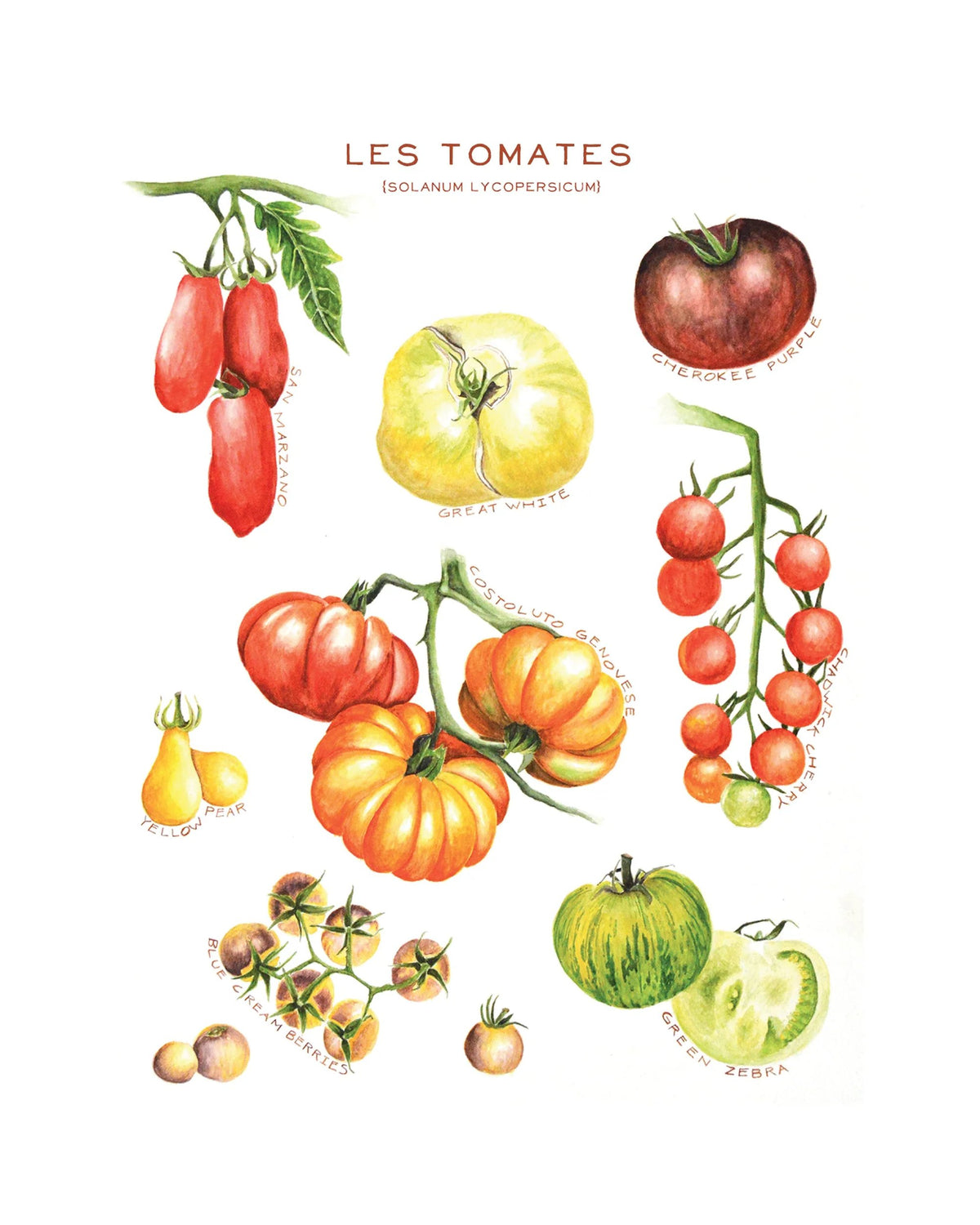 Linge à vaisselle - Maison Lorrain - Les tomates