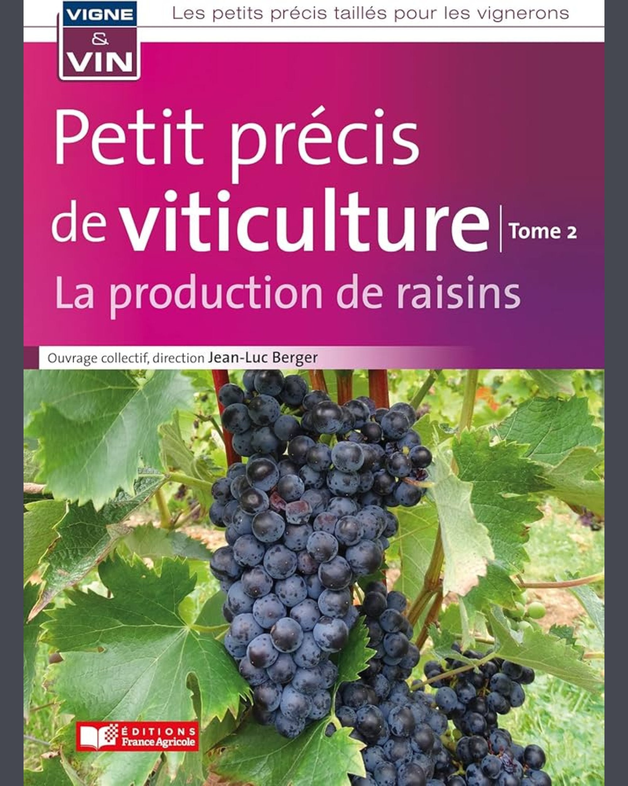Petit précis de viticulture : la production de raisins - tome 2 - Jean-Luc Berger