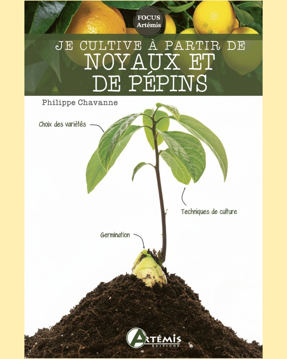 Je cultive à partir de noyaux et pépins - Philippe Chavanne