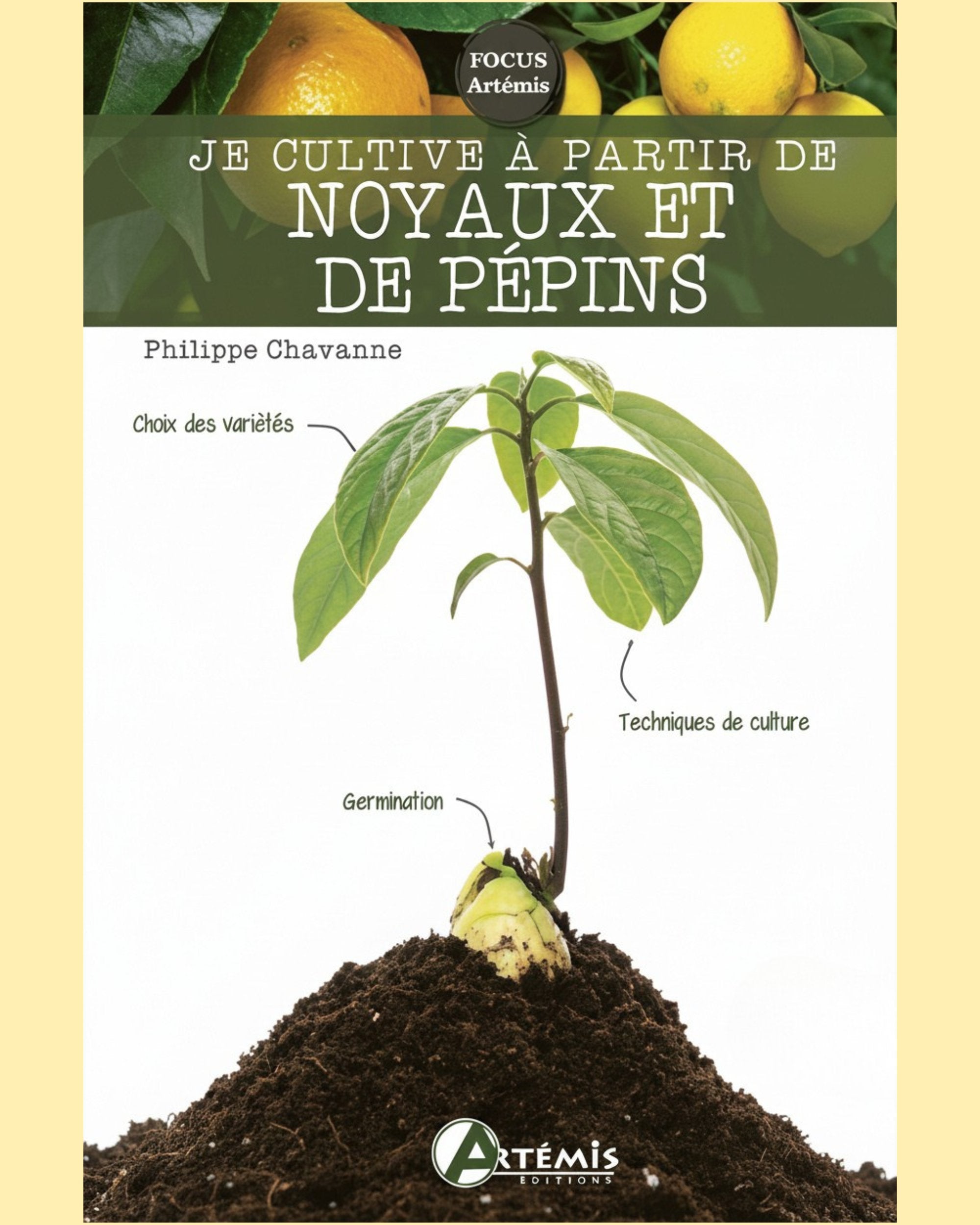 Je cultive à partir de noyaux et pépins - Philippe Chavanne