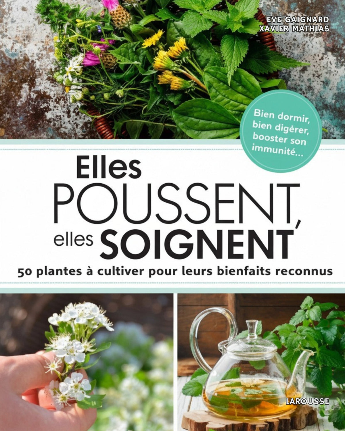 Elles poussent, elles soignent : 50 plantes à cultiver pour leurs bienfaits reconnus
