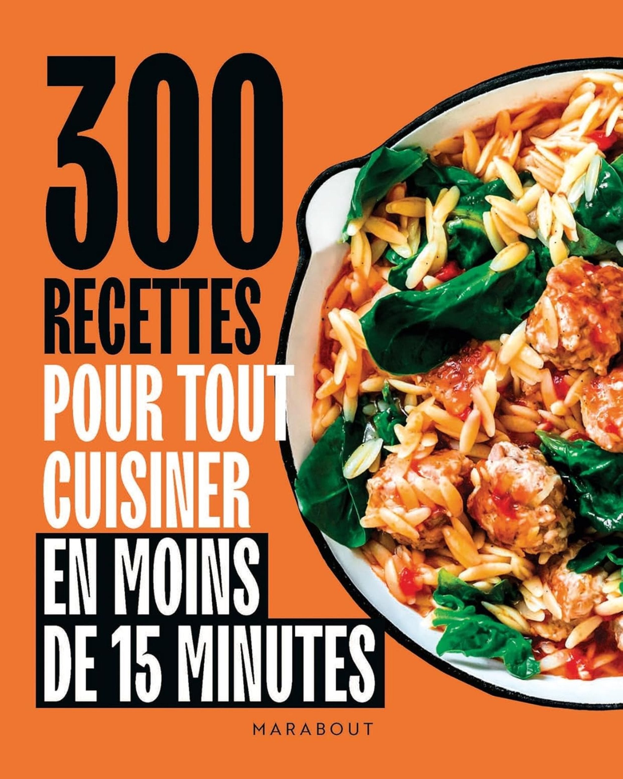The Art of Airfryer Cooking on a Budget: 130 Simple Recipes for the Whole Family - Audrey Chocmiel