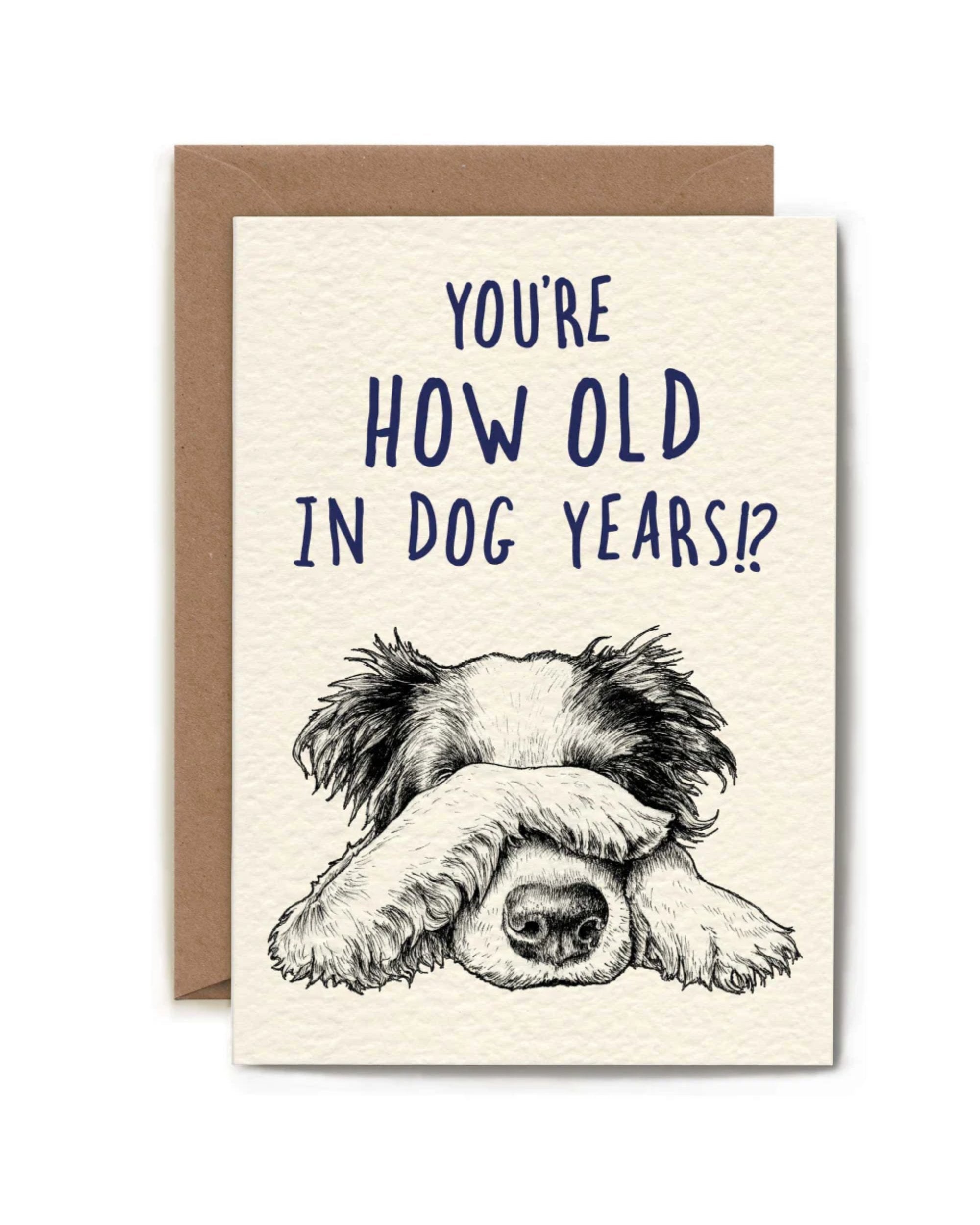 Carte de souhaits - You're how old in dog years!?