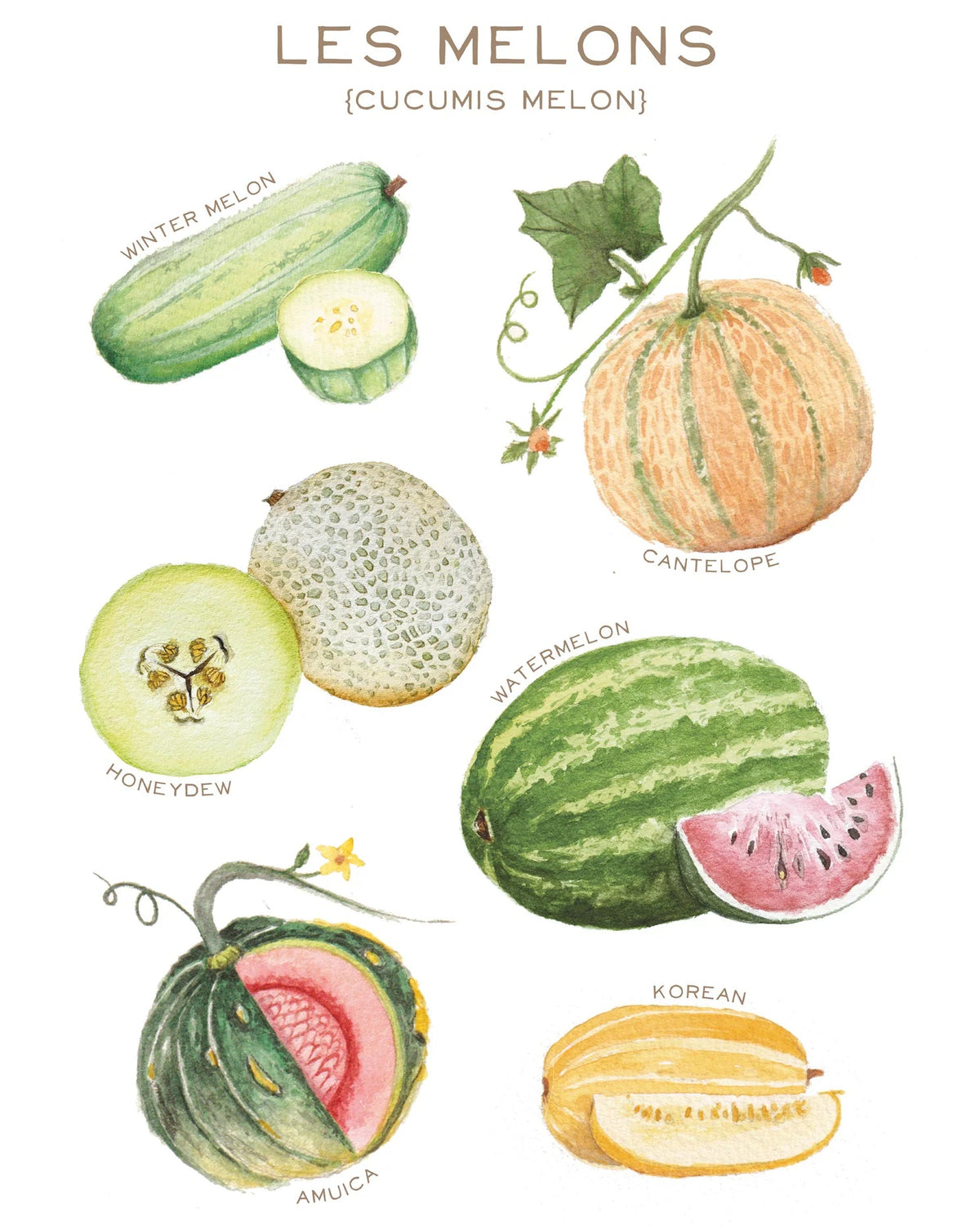 Linge à vaisselle - Maison Lorrain - Les melons