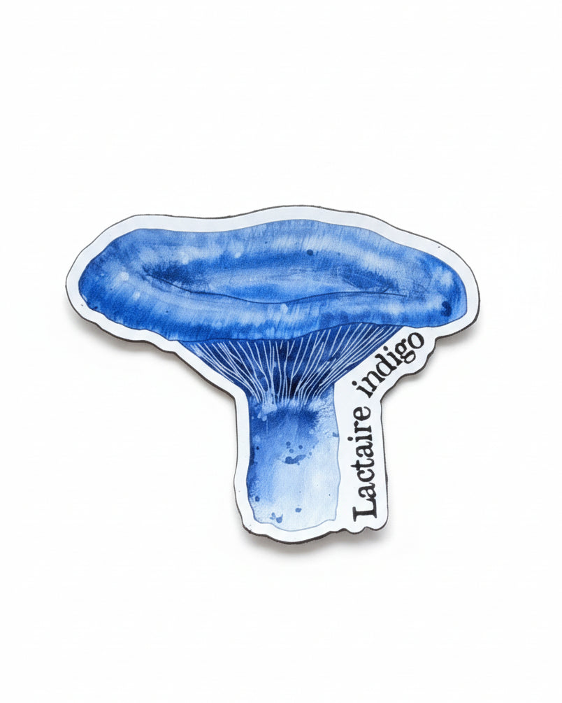 Aimant mince ''Lactaire Indigo'' LG
