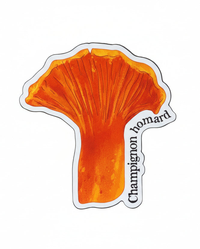 Aimant mince ''Champignon homard'' LG