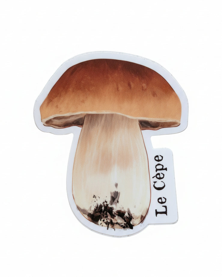 The Self-Adhesive Cep